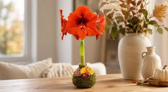 Let 'Em Bloom product from ABC Secret Savings