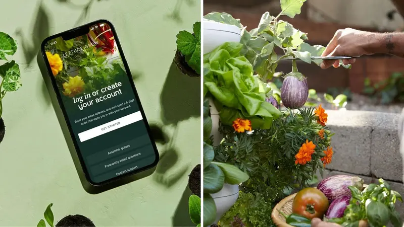 Lettuce Grow from GMA Deals & Steals