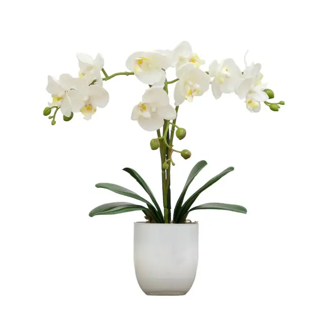 Nearly Natural product from GMA Deals & Steals