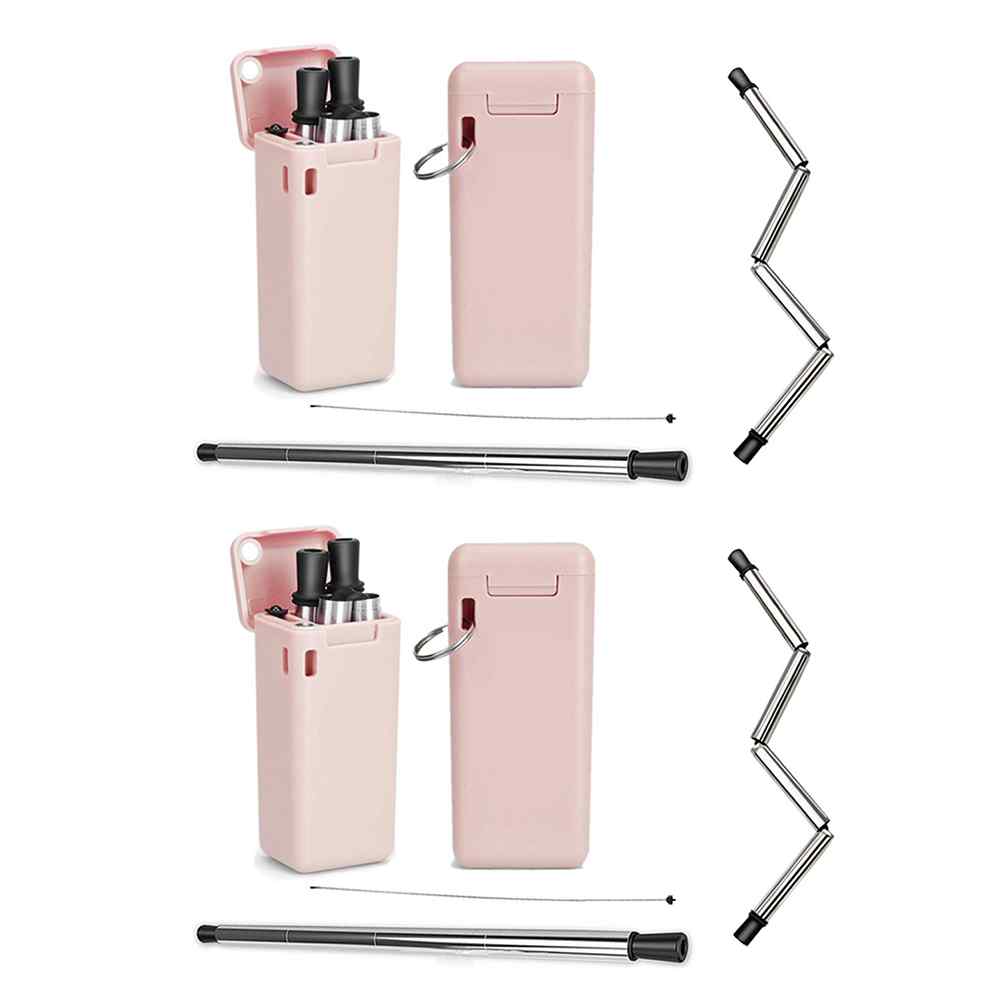 Collapsible Stainless Steel Drinking Straws with Cases (2-Pack) from Shop Tam Fam