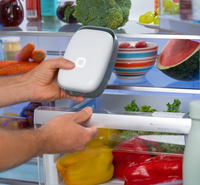 Shelfy Smart Fridge Purifier from TODAY Steals & Deals